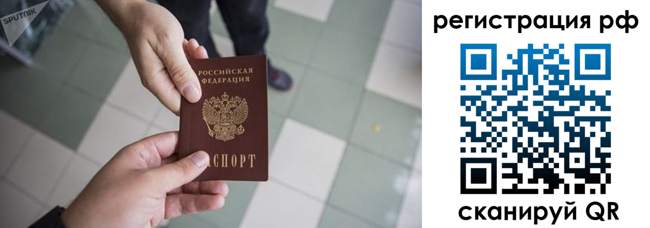 прописка гарантия в Фрязино